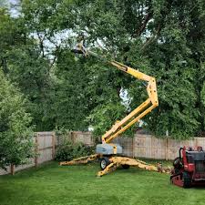 Best Tree Preservation Services  in Shiner, TX